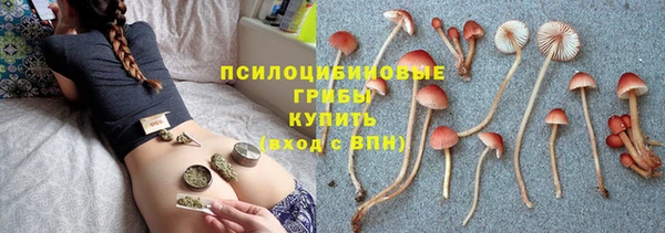 PSILOCYBIN Белокуриха